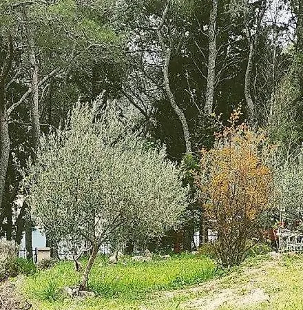 Apartmán Maya *